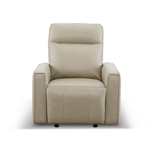 Darly Leather Arm Chair Power Recliner