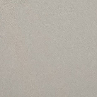 Oslo-Alabaster leather swatch