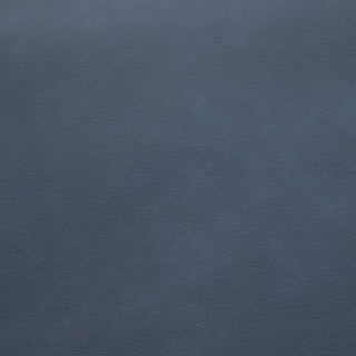 Oslo-Sapphire leather swatch