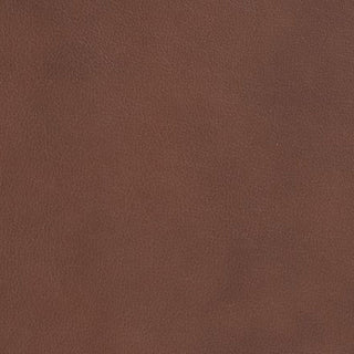 Oslo-Pecan leather swatch
