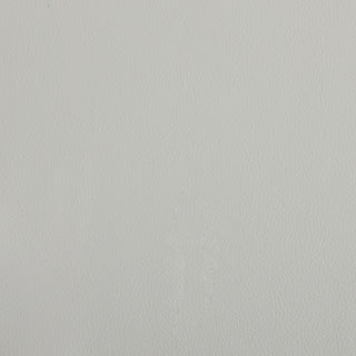 Turin-Beige leather swatch