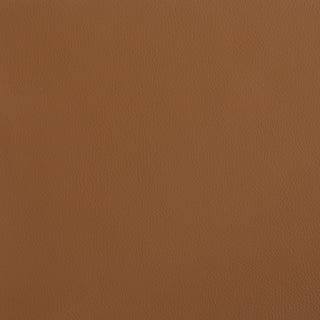 Turin-Bonsai leather swatch