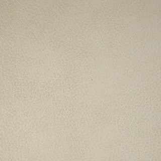 Softee-Ivory leather swatch