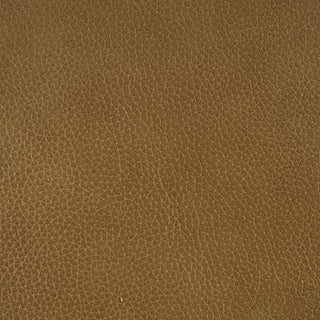 Softee-Palomino leather swatch