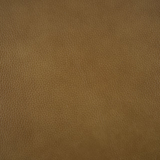 Softee-Palomino leather swatch