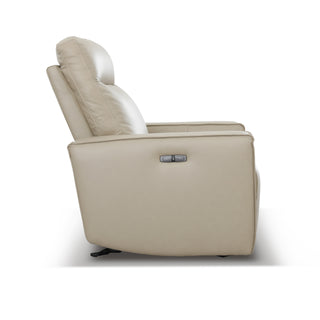 Darly Leather Arm Chair Power Recliner
