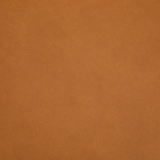 Darly Leather Arm Chair Power Recliner