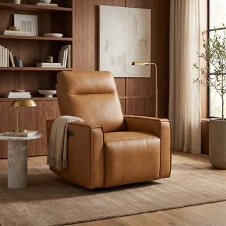 Darly Leather Arm Chair Electric Recliner